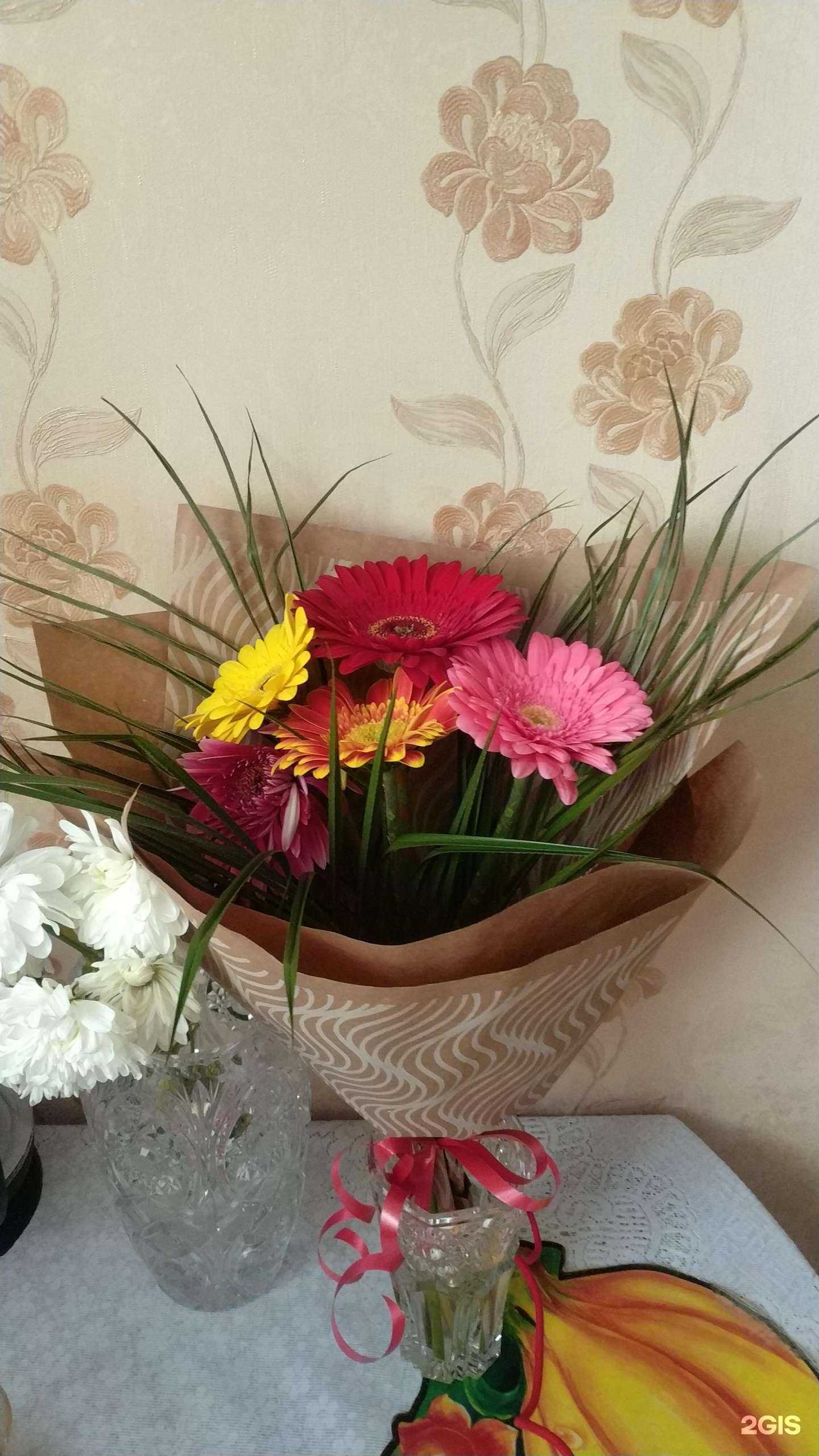 Отзывы на компанию Флоритэль в г. Кемерово c фото