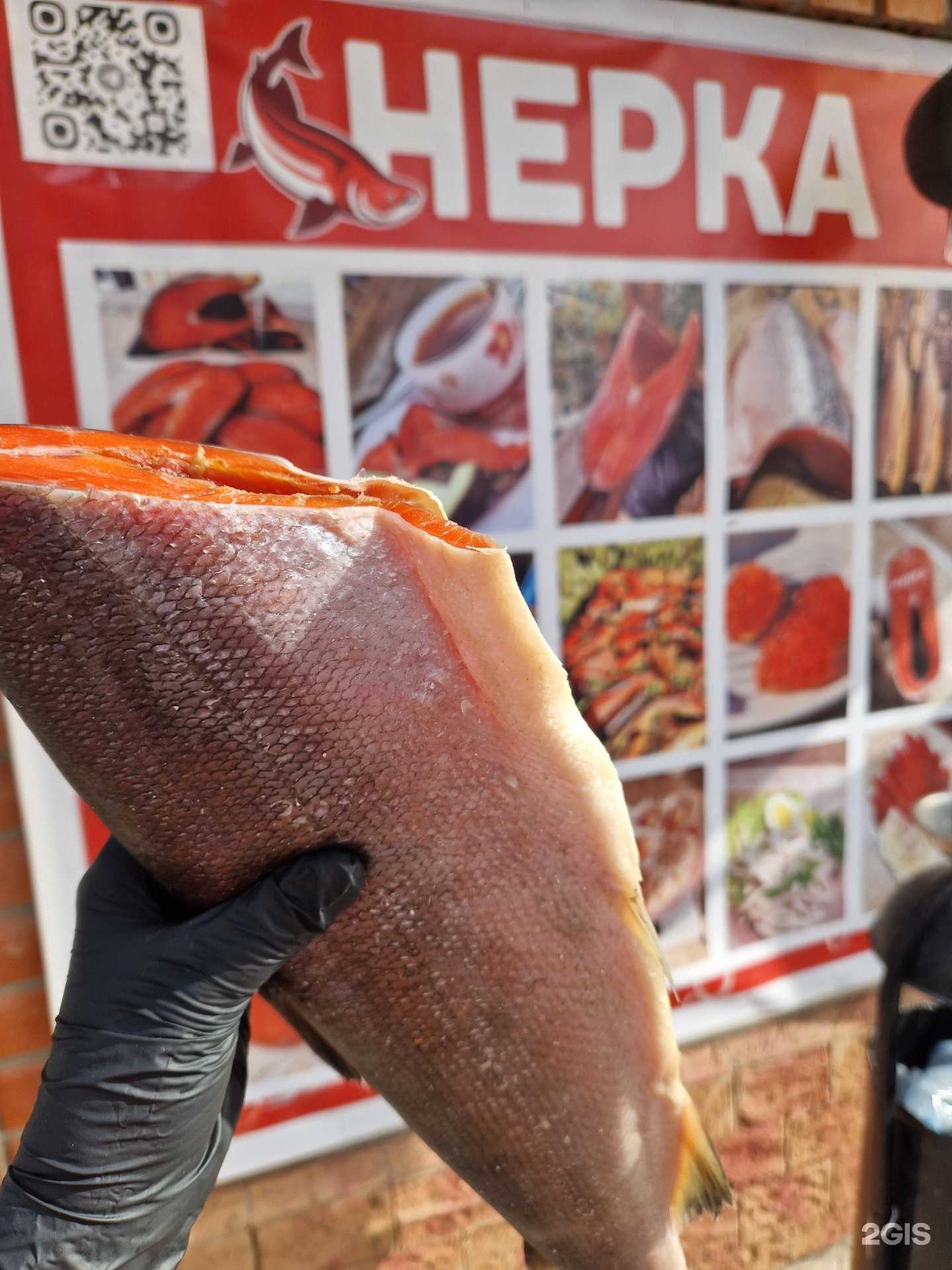 Отзывы на компанию Нерка в Новороссийске c фото