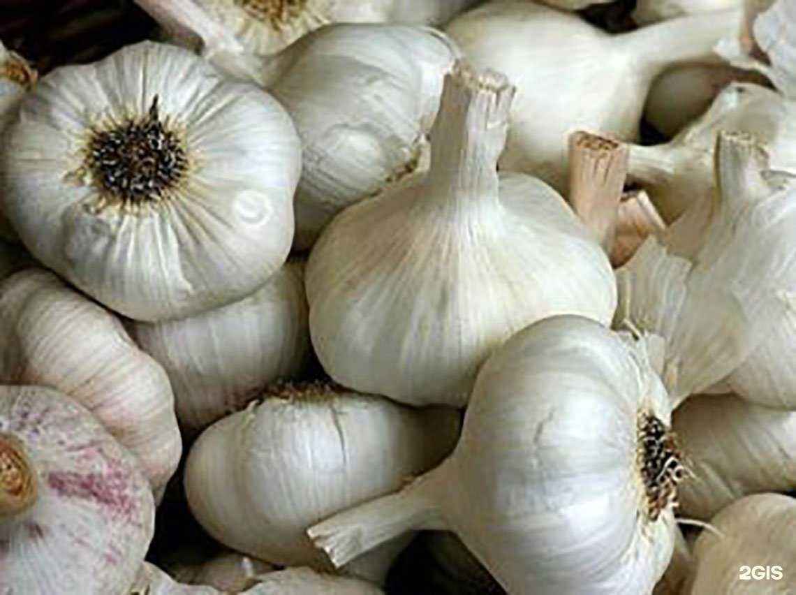 Отзывы на компанию Малина в Петрозаводске c фото