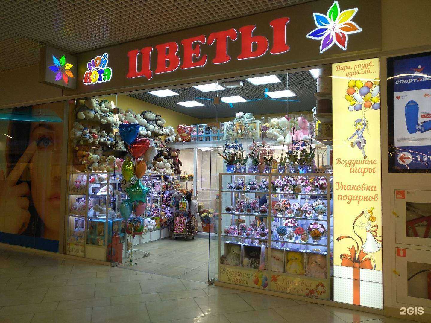 Отзывы на компанию Мой Котя в Туле c фото