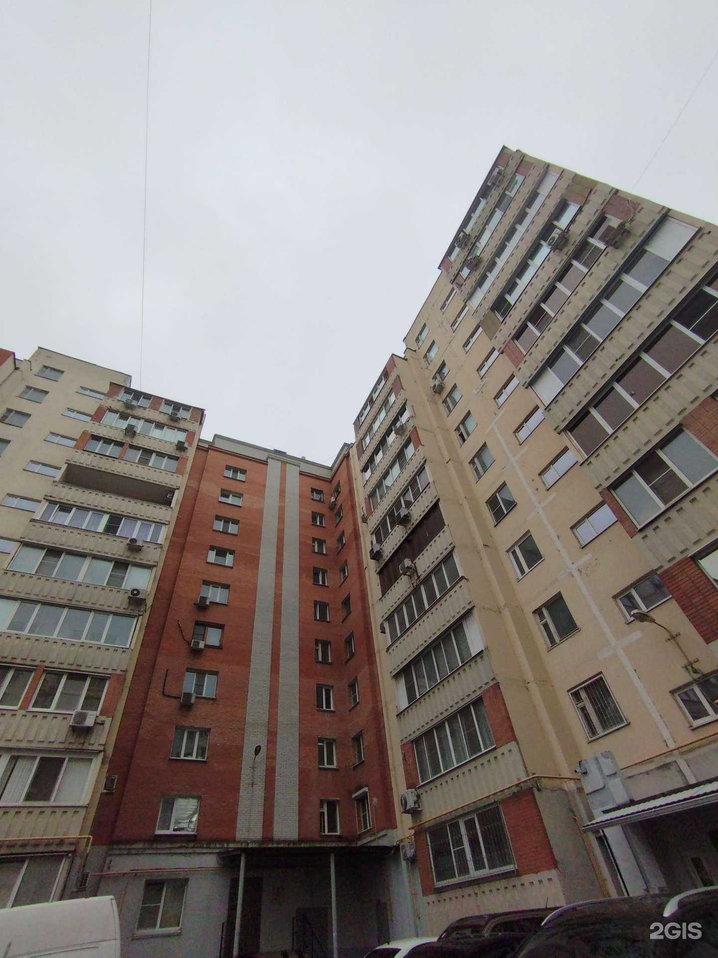 Отзывы на компанию Pro Детство в Ростове-на-Дону c фото - фотография 2 из 2