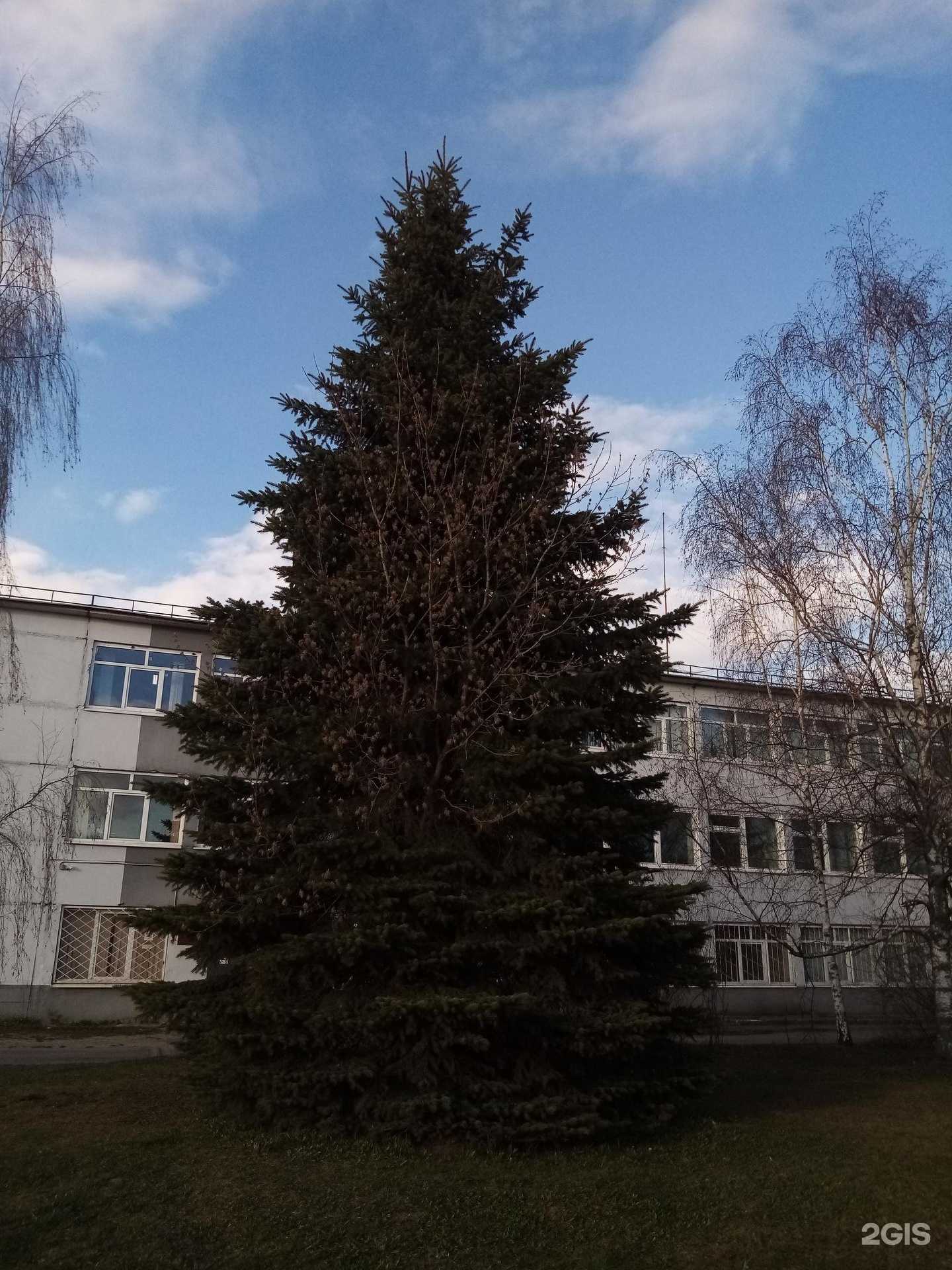 Отзывы на компанию Libero в Твери c фото - фотография 2 из 2