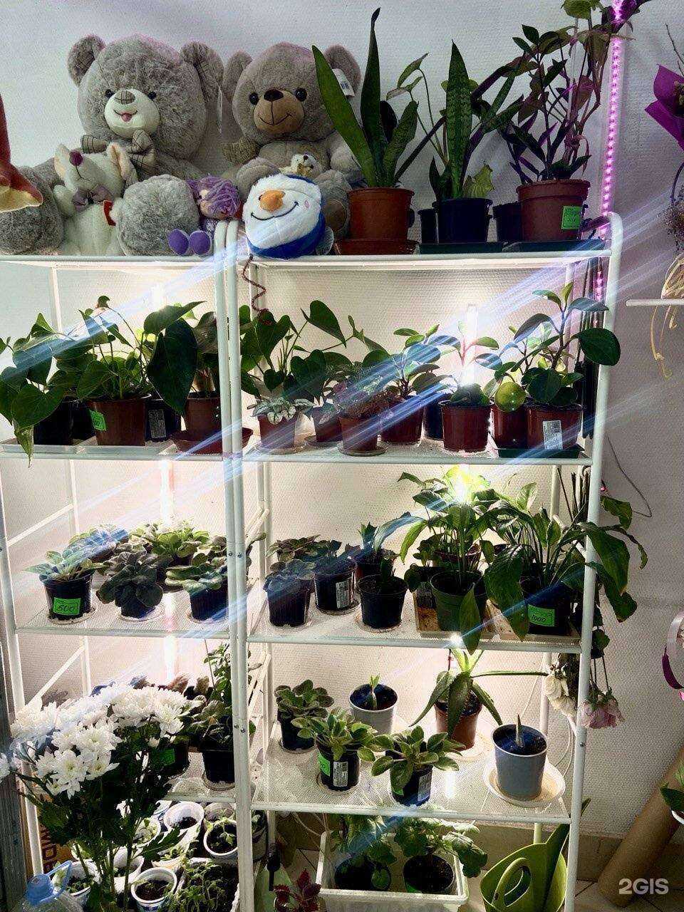 Отзывы на компанию Аленький в Рязани c фото