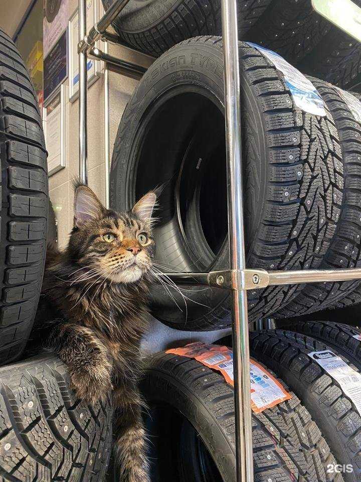 Отзывы на компанию Ivanor в Новокузнецке c фото