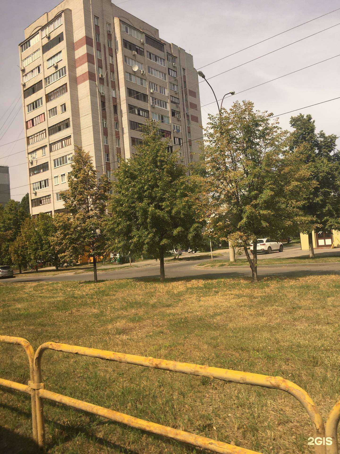 Отзывы на компанию Центрнед в Тольятти c фото - фотография 2 из 2