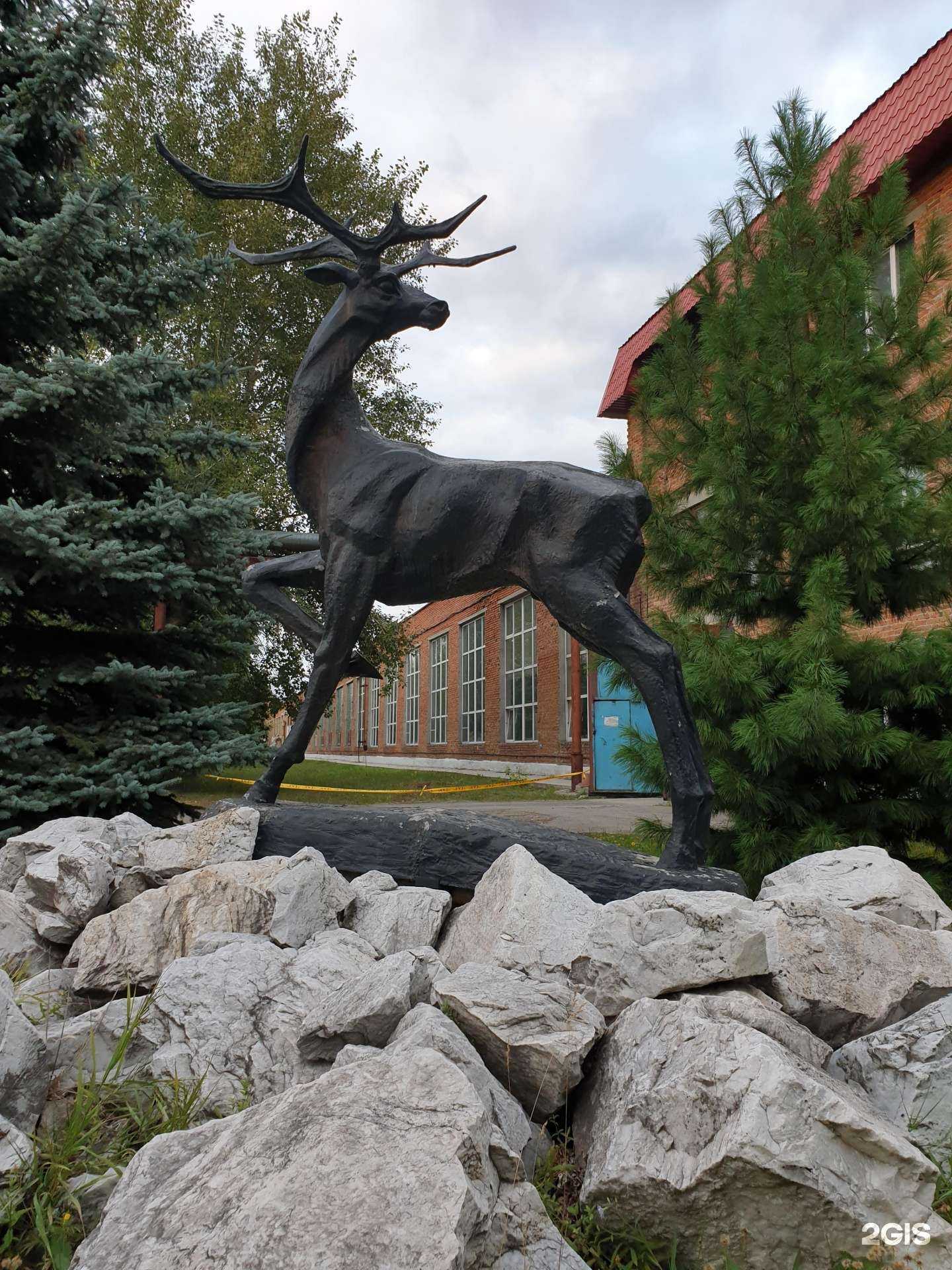 Отзывы на компанию Сарко в г. Тюмень c фото