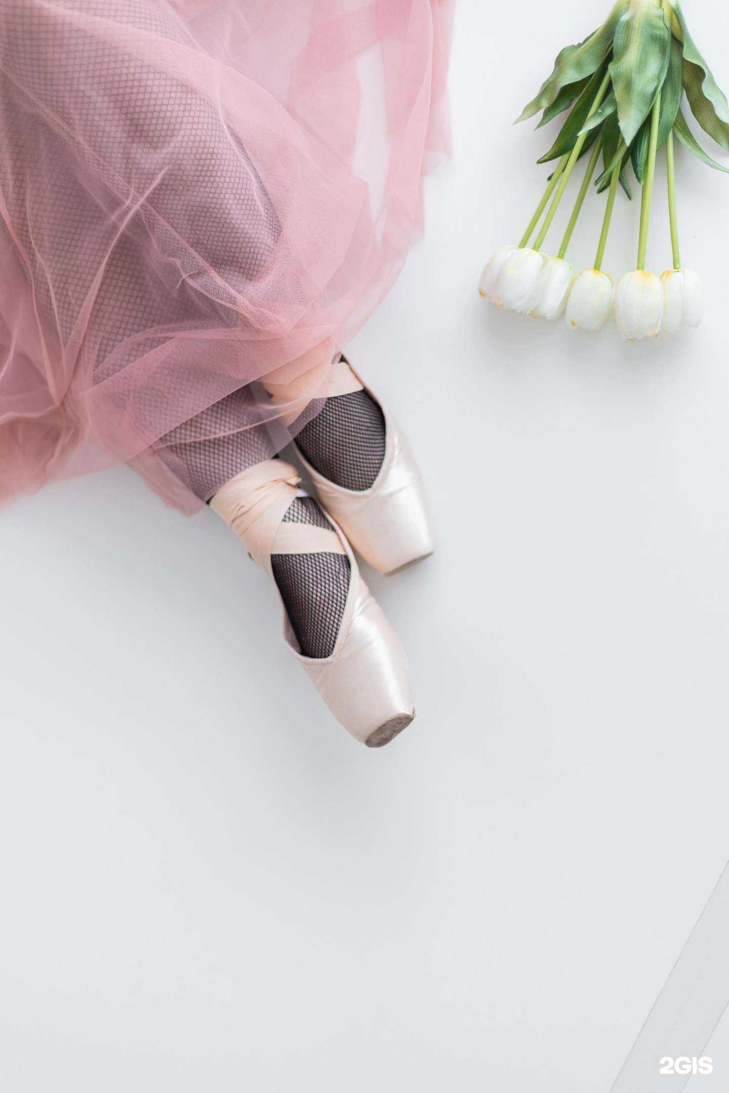 Отзывы на компанию Levita в Йошкар-Оле c фото