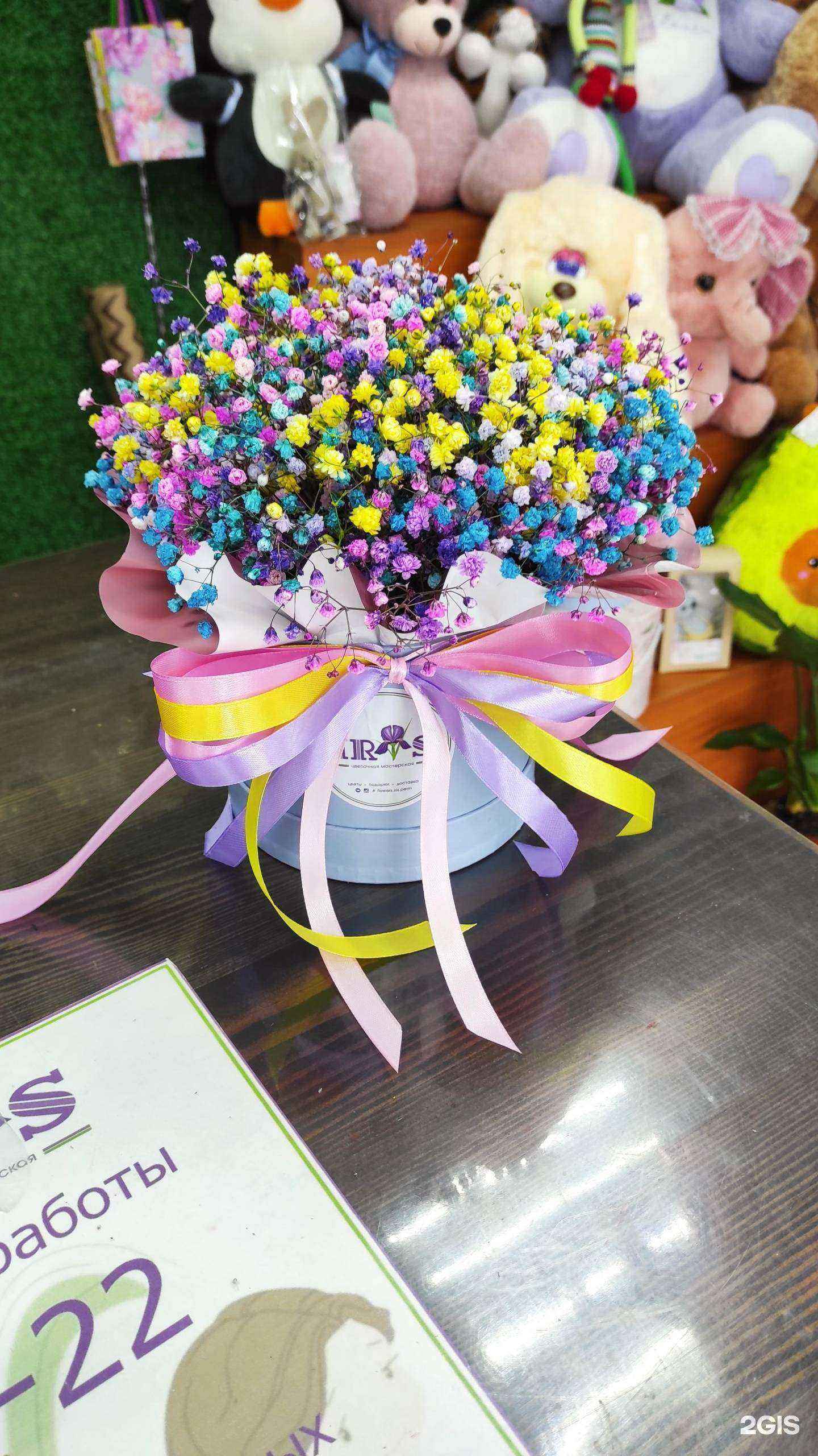 Отзывы на компанию Ирис в Перми c фото