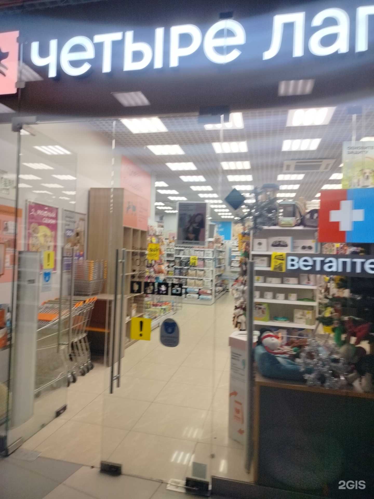 Отзывы на компанию Четыре лапы в Подольске c фото