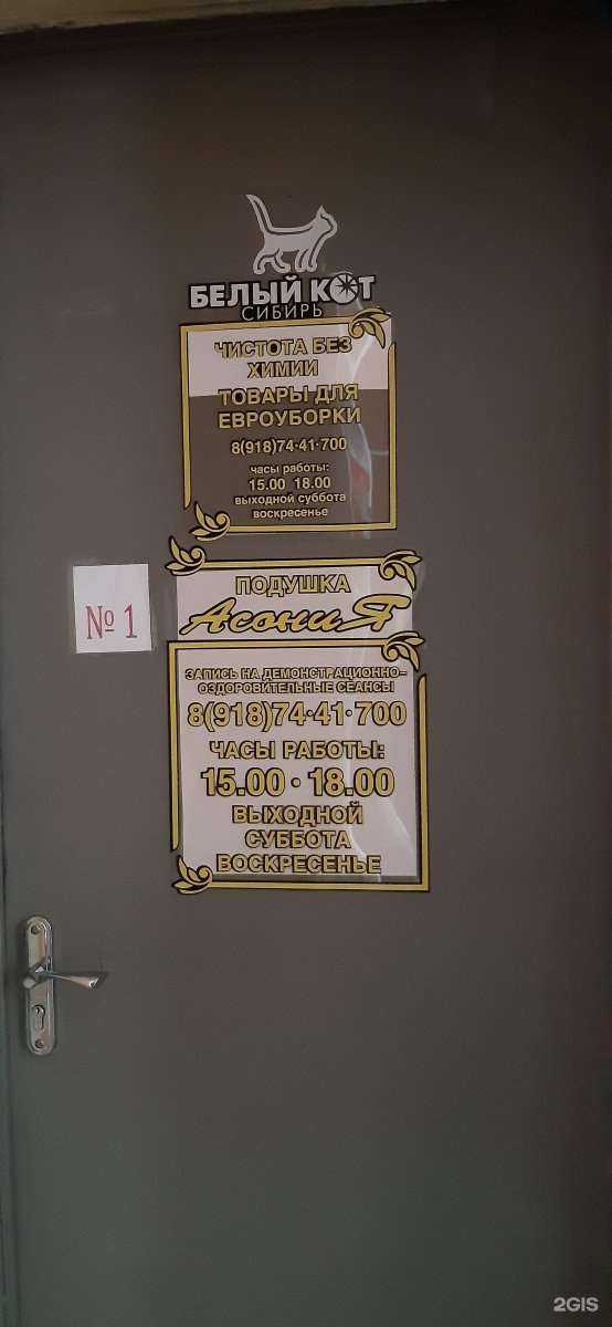 Отзывы на компанию Белый Кот Сибирь в Пятигорске c фото
