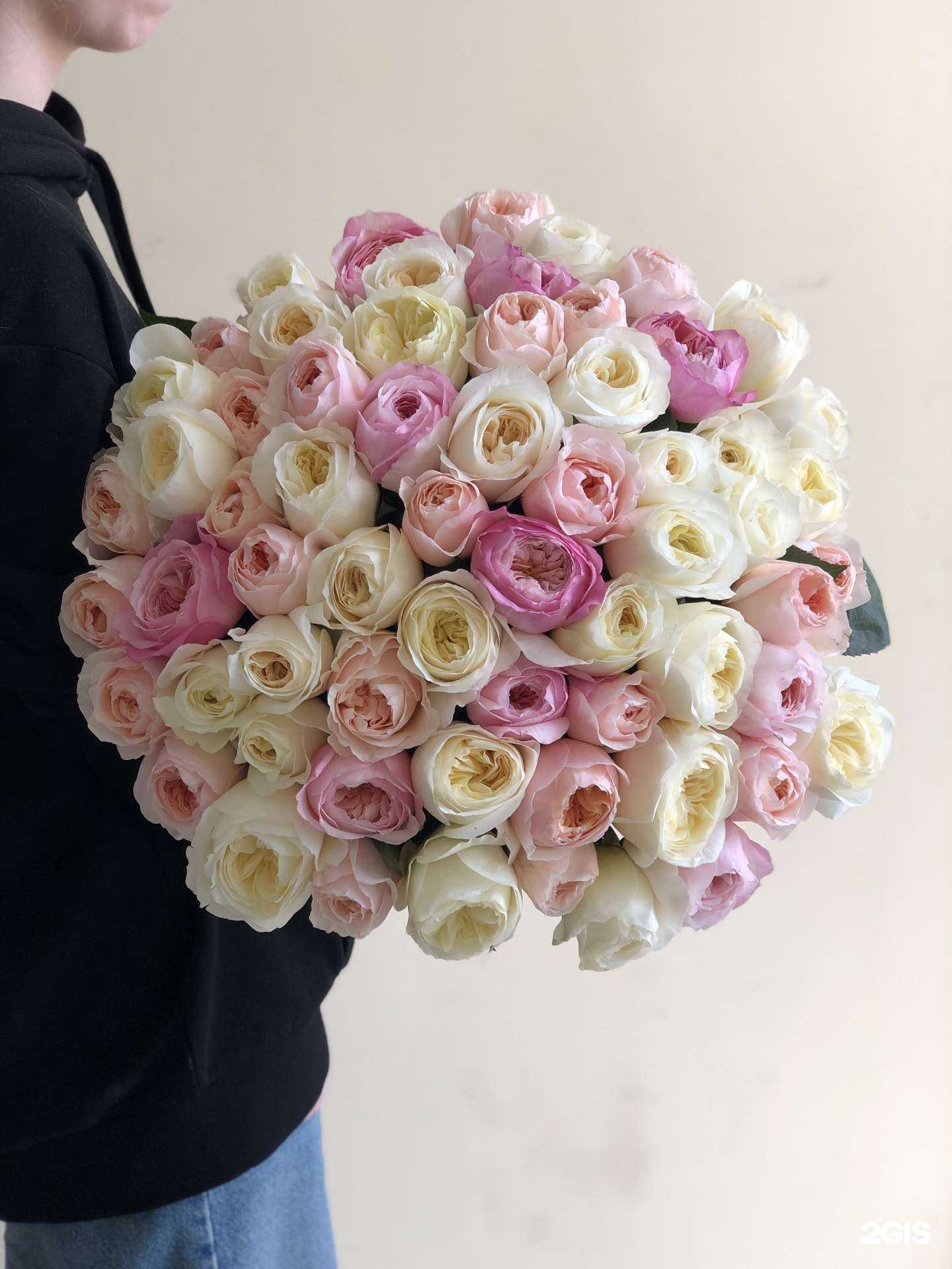 Отзывы на компанию Клевер в Одинцове c фото