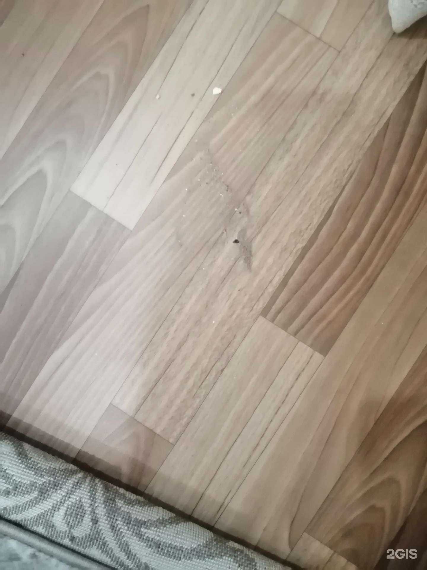 Отзывы на компанию Фабрика чистки ковров в г. Набережные Челны c фото