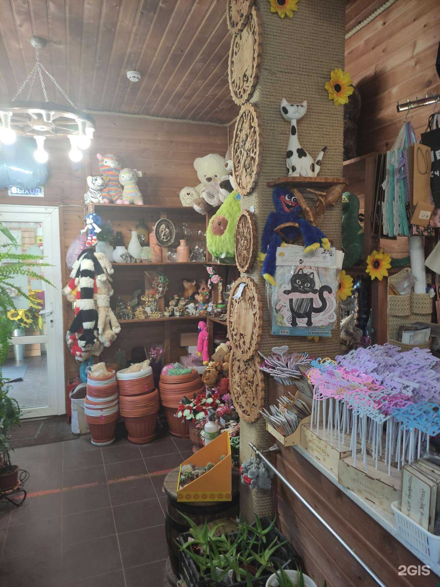 Отзывы на компанию Камелия в Ивантеевке c фото