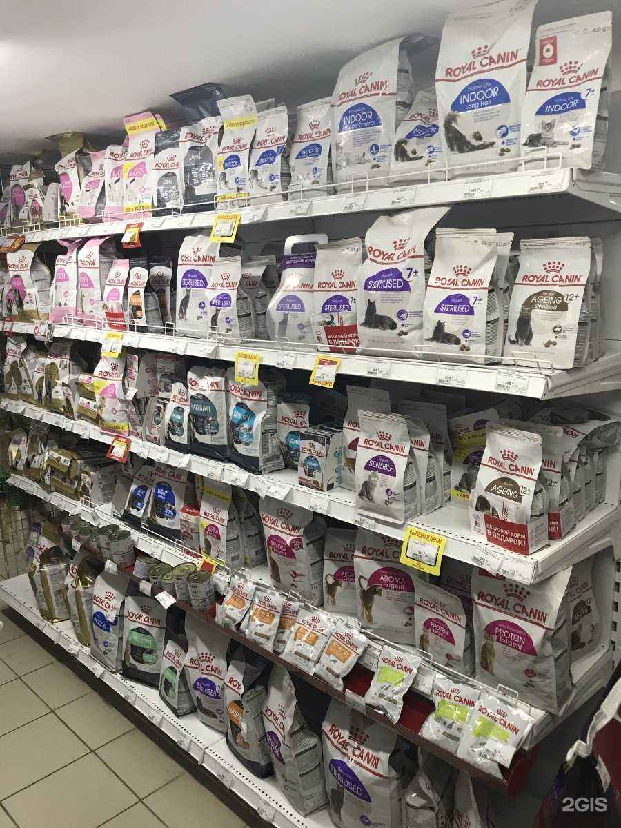 Отзывы на компанию Друзья в Сочи c фото