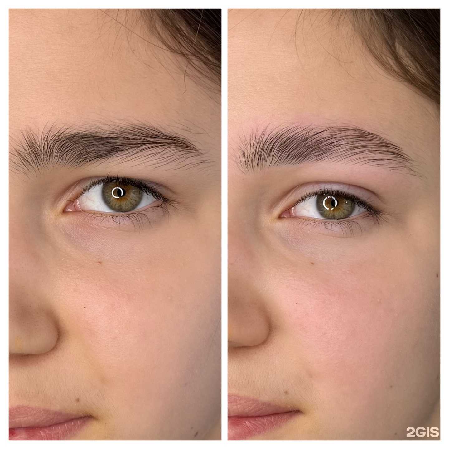 Отзывы на компанию Brovolog в г. Красноярск c фото