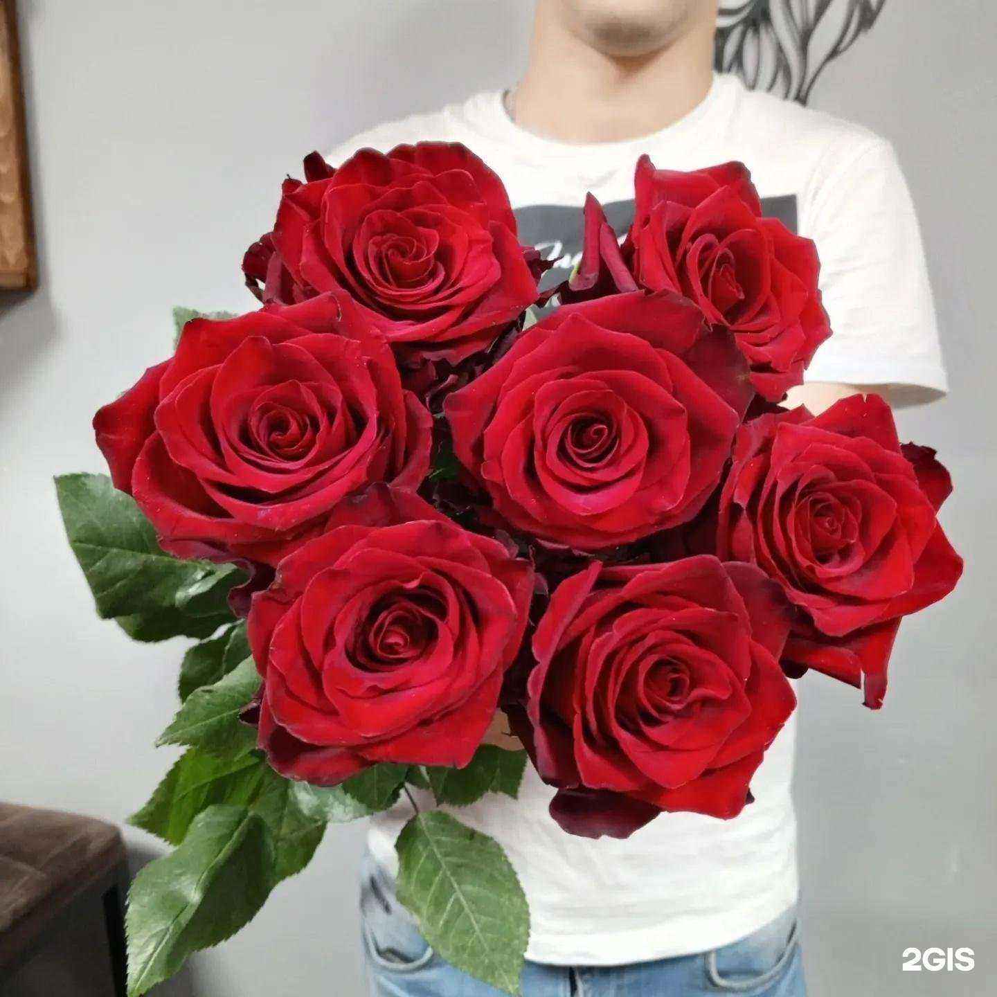 Отзывы на компанию Fox в Одинцове c фото