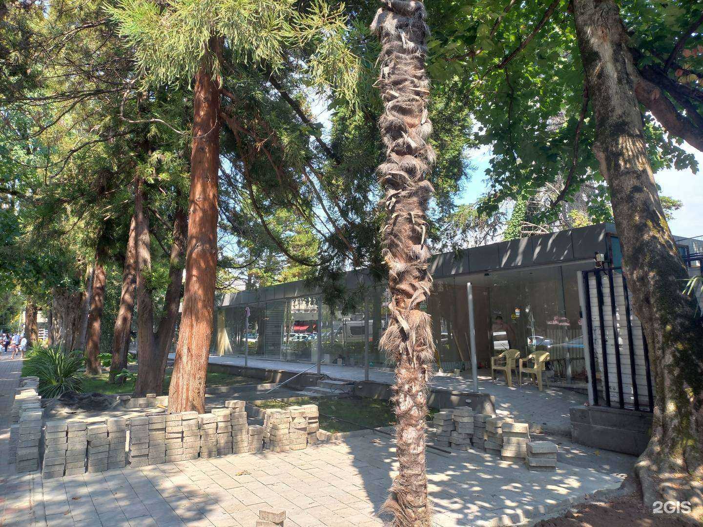 Отзывы на компанию Сочный Сочи в Сочи c фото - фотография 2 из 2