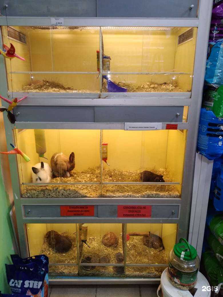 Отзывы на компанию Лимпопо в г. Калуга c фото