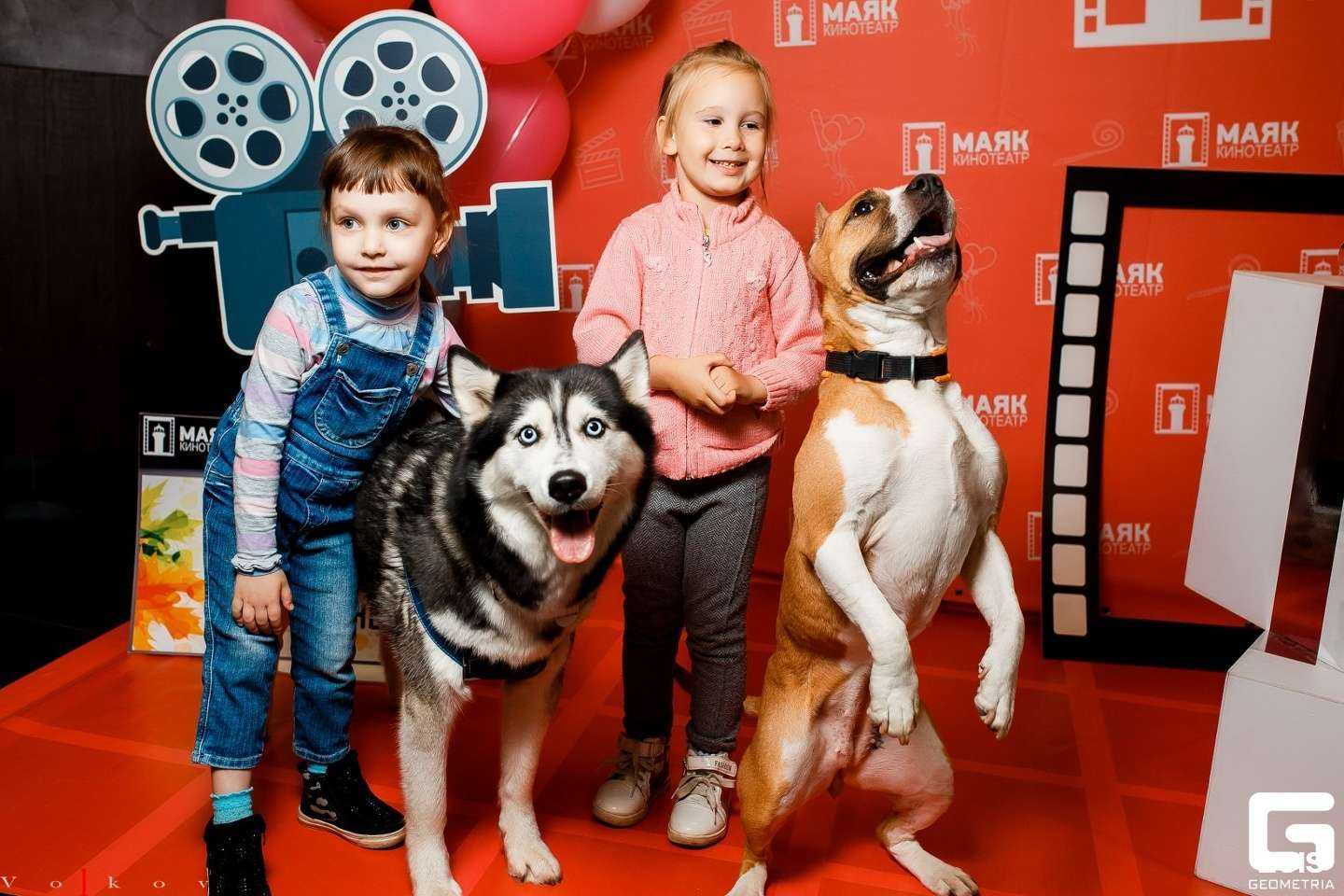 Отзывы на компанию Маяк в г. Омск c фото