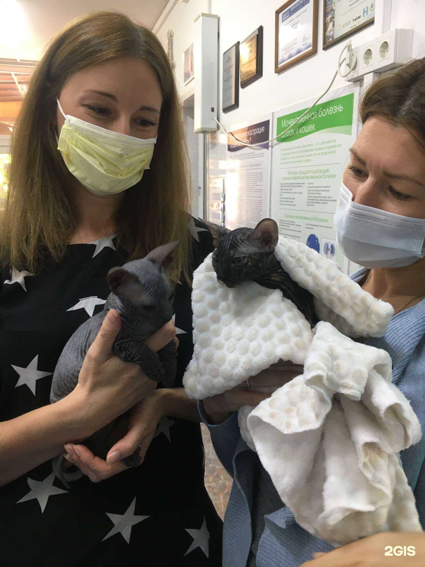 Отзывы на компанию Зебра в г. Таганрог c фото