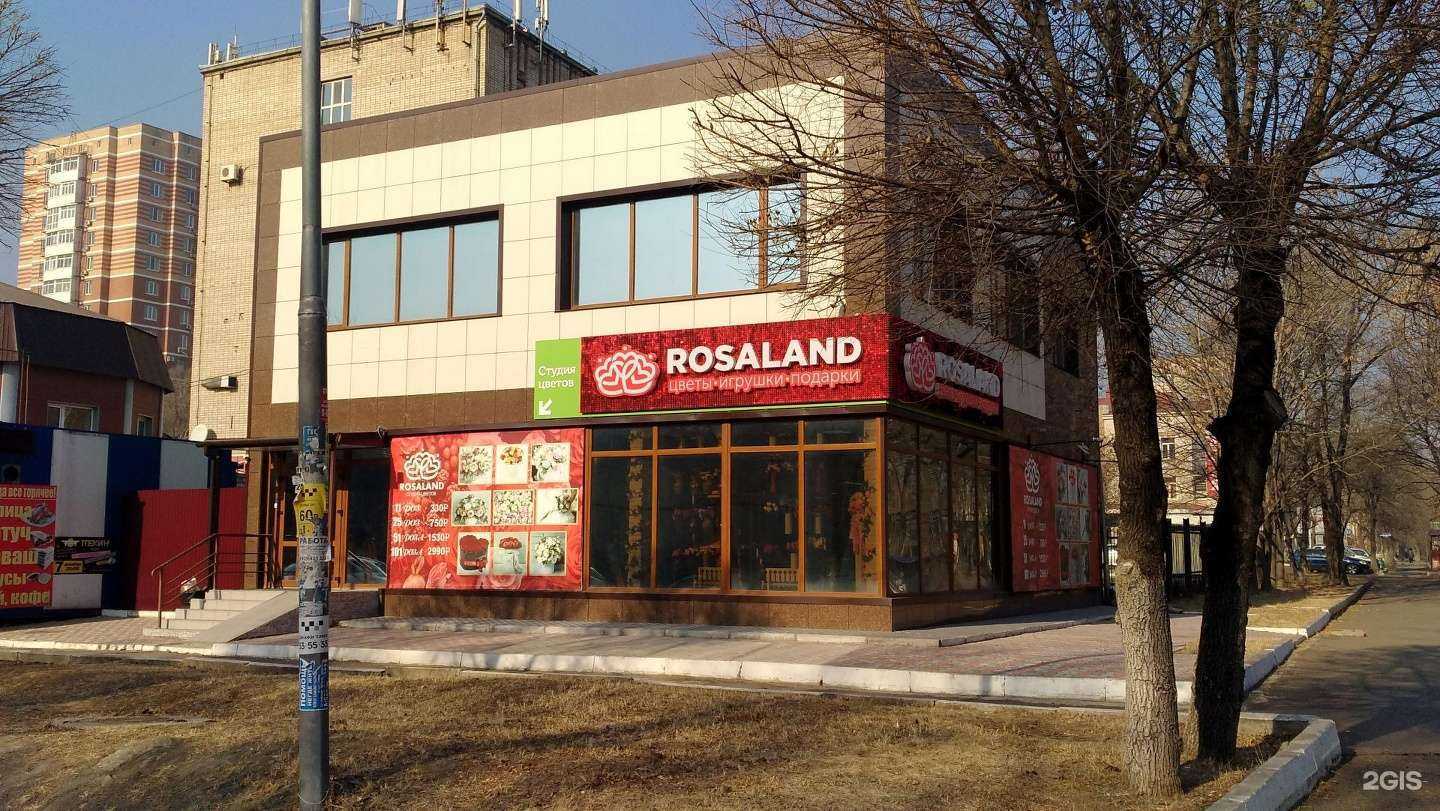 Отзывы на компанию Nori в Уссурийске c фото - фотография 2 из 2