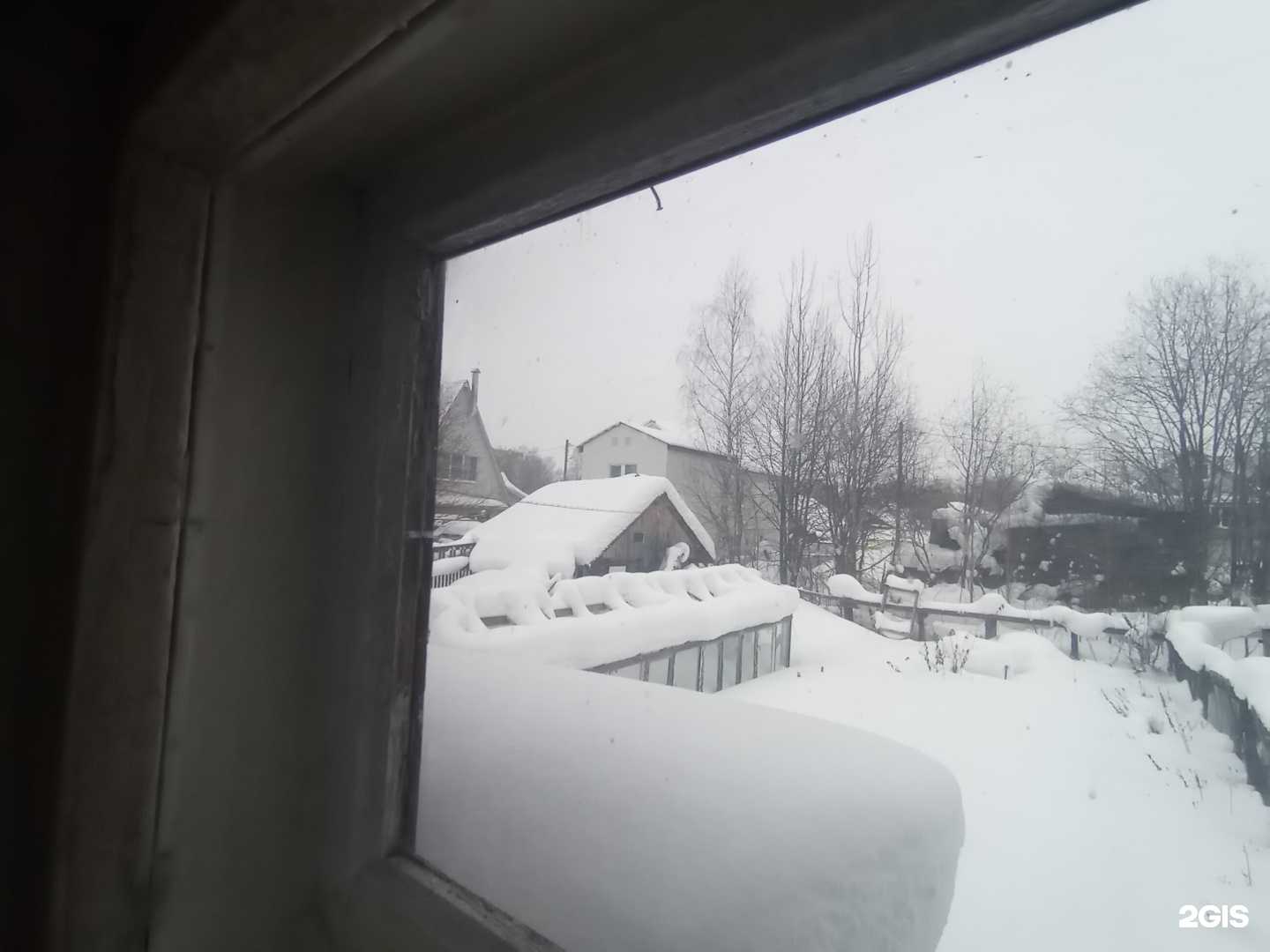 Отзывы на компанию Dr.YanaSh в г. Сыктывкар c фото