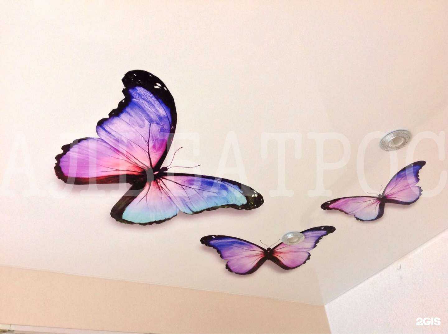 Отзывы на компанию Альбатрос в Казани c фото