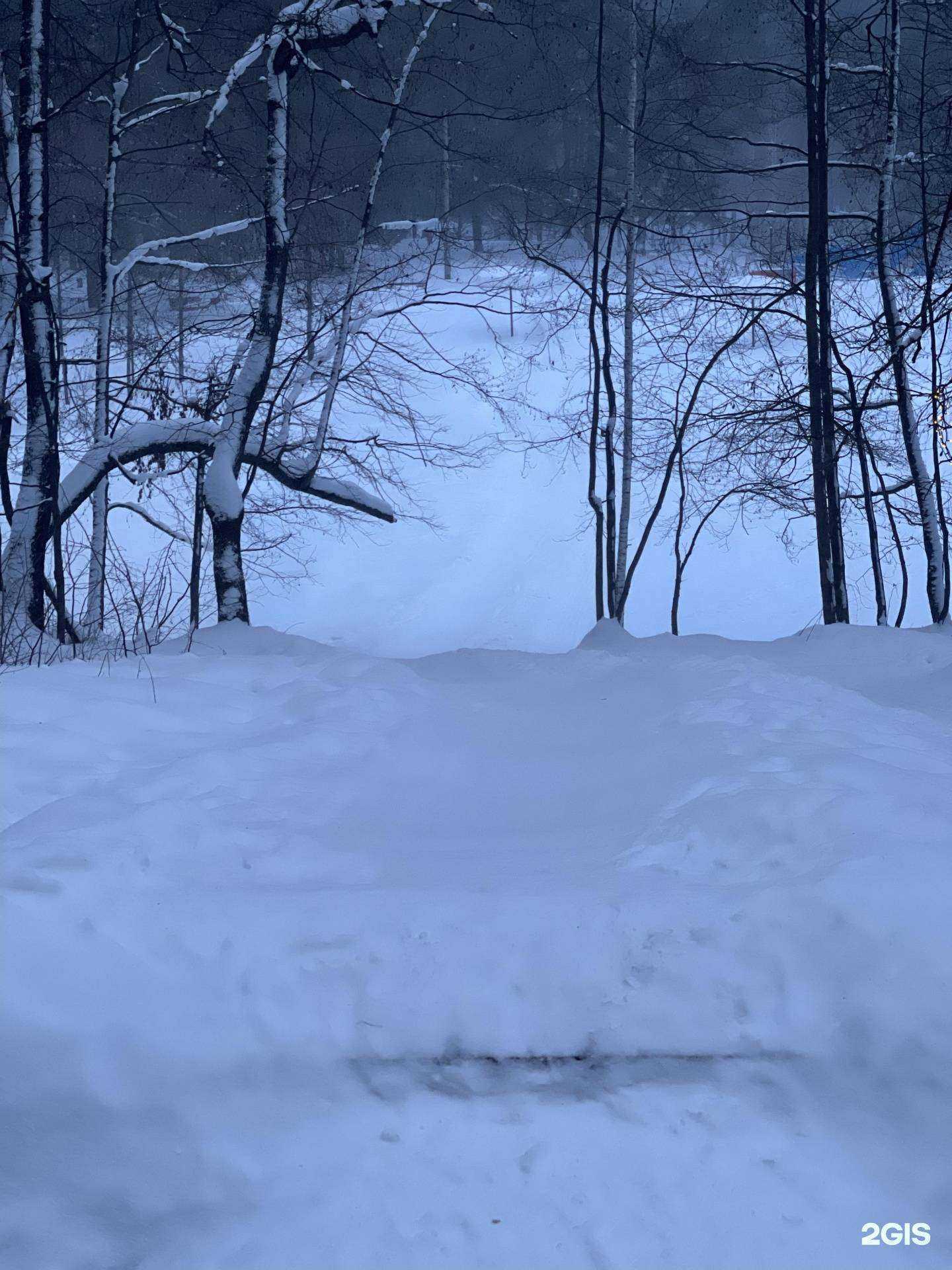 Отзывы на компанию Формула спортивного успеха в Димитровграде c фото