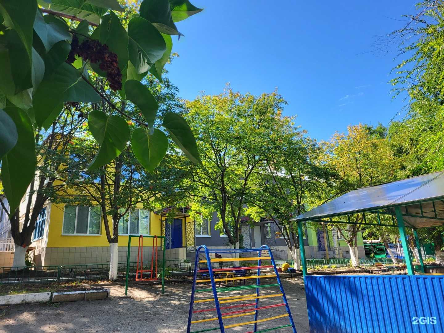 Отзывы на компанию Чайка в Саратове c фото