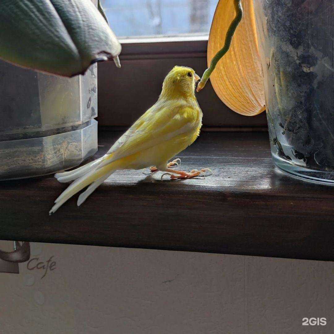 Отзывы на компанию Лекарь в Калуге c фото