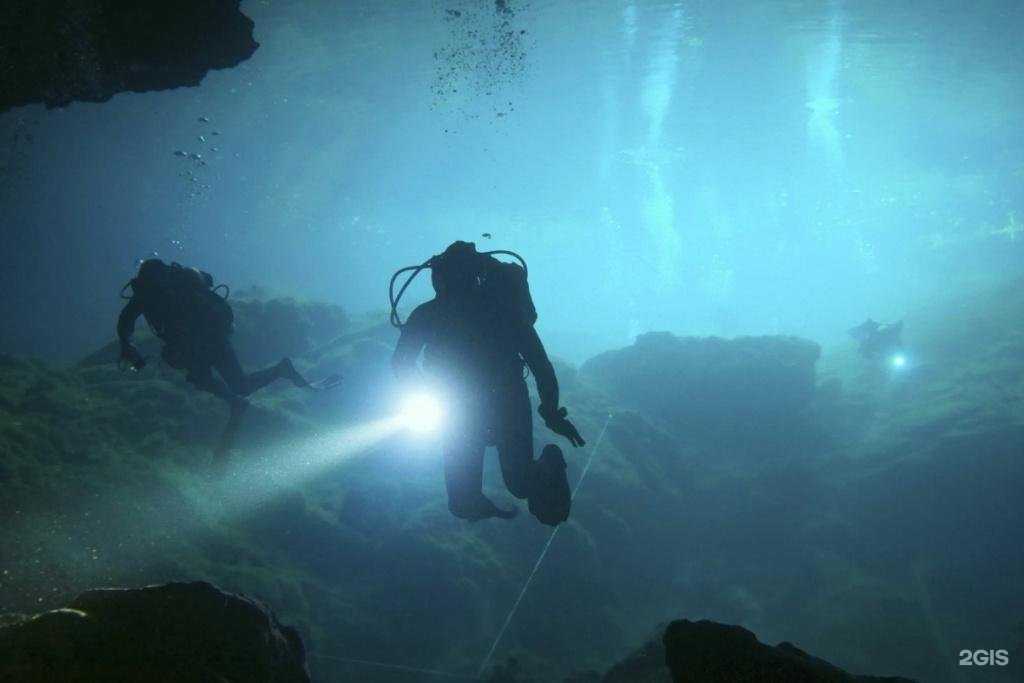 Отзывы на компанию Diskus в г. Киров c фото