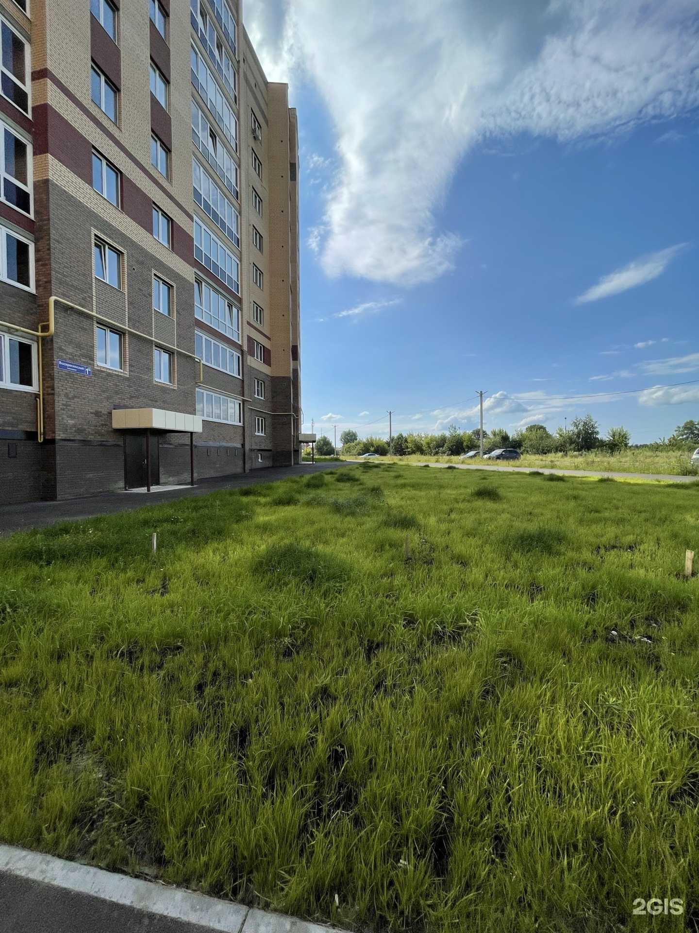 Отзывы на компанию Милый шкаф в Йошкар-Оле c фото - фотография 2 из 2