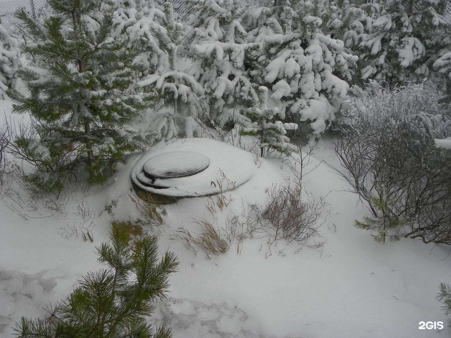 Отзывы на компанию Аквавита в Королёве c фото