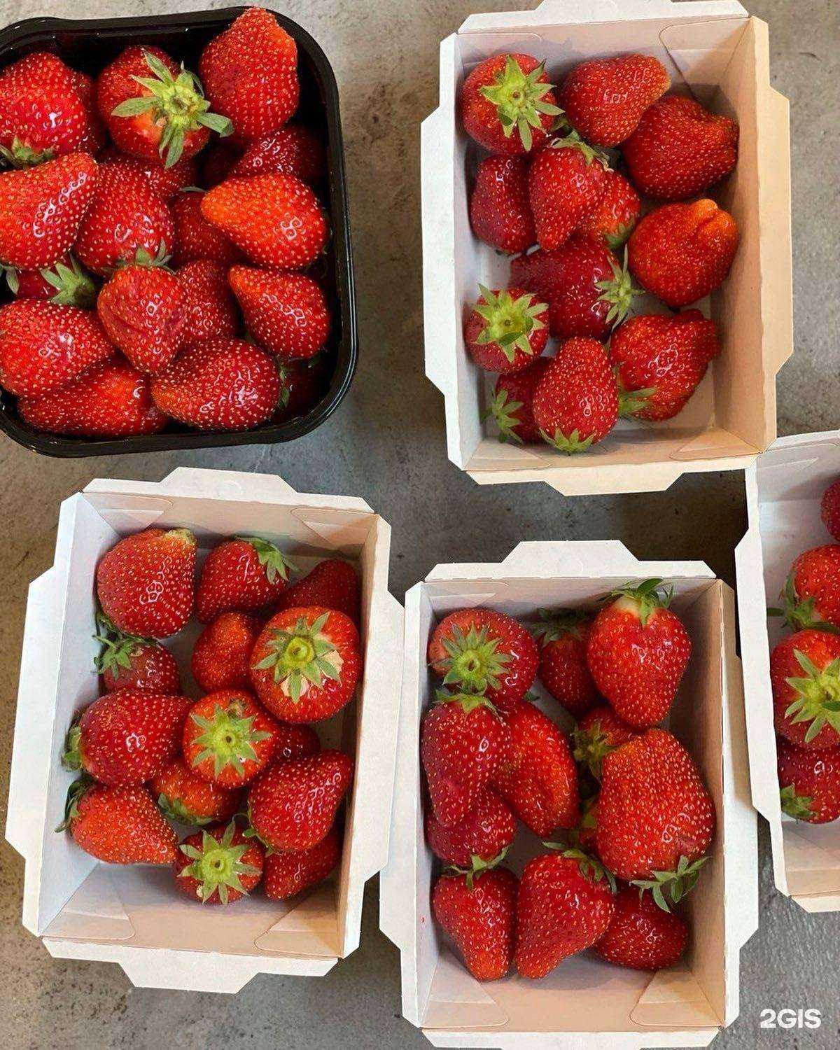 Отзывы на компанию Прости, салат! в г. Хабаровск c фото