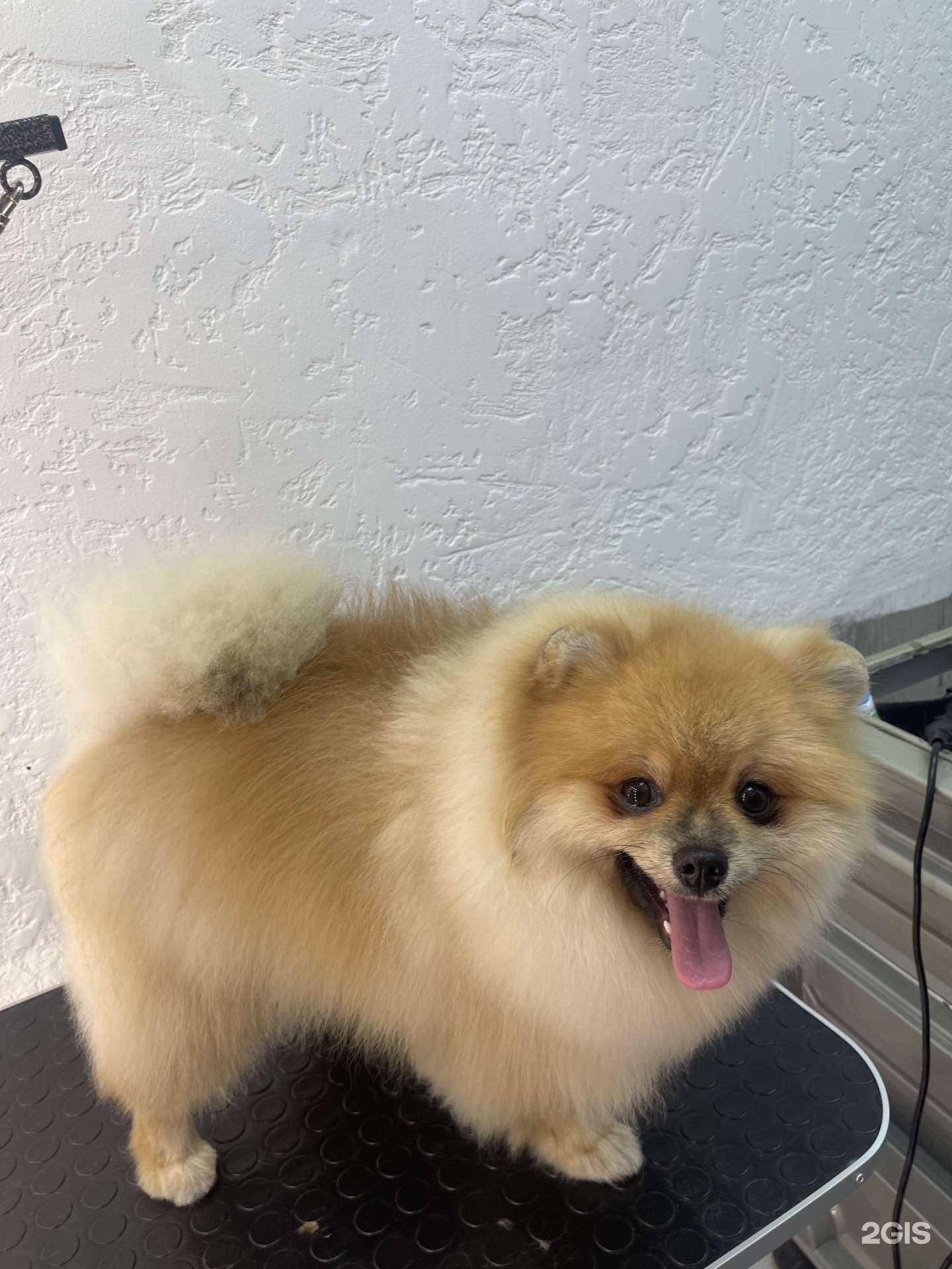 Отзывы на компанию Леди&Бродяга в Новороссийске c фото