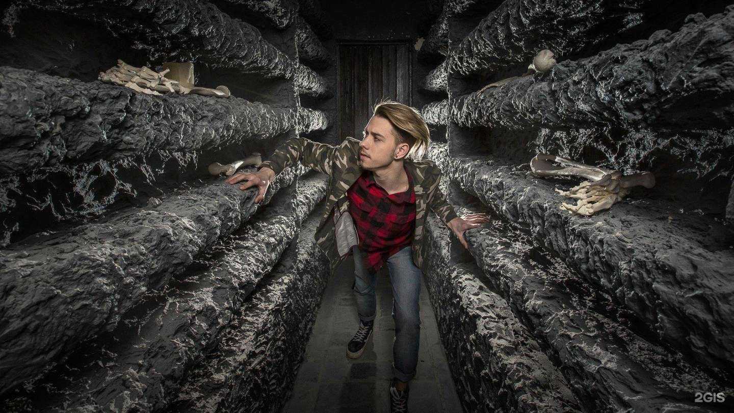 Отзывы на компанию Инсания в Саратове c фото