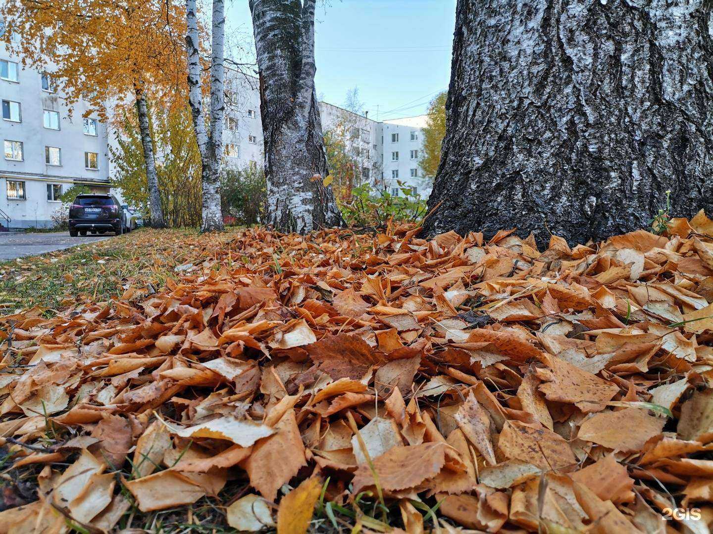 Отзывы на компанию Центральная детская модельная библиотека им. В.И. Воробьева в Перми c фото - фотография 2 из 2