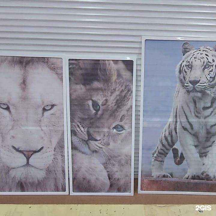 Отзывы на компанию Практичная защита gm в г. Челябинск c фото