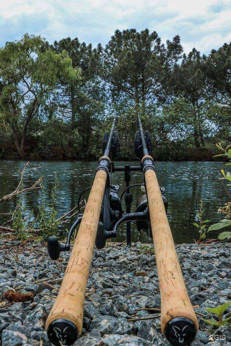 Отзывы на компанию БизнесХаб Консалтинг в Кемерове c фото