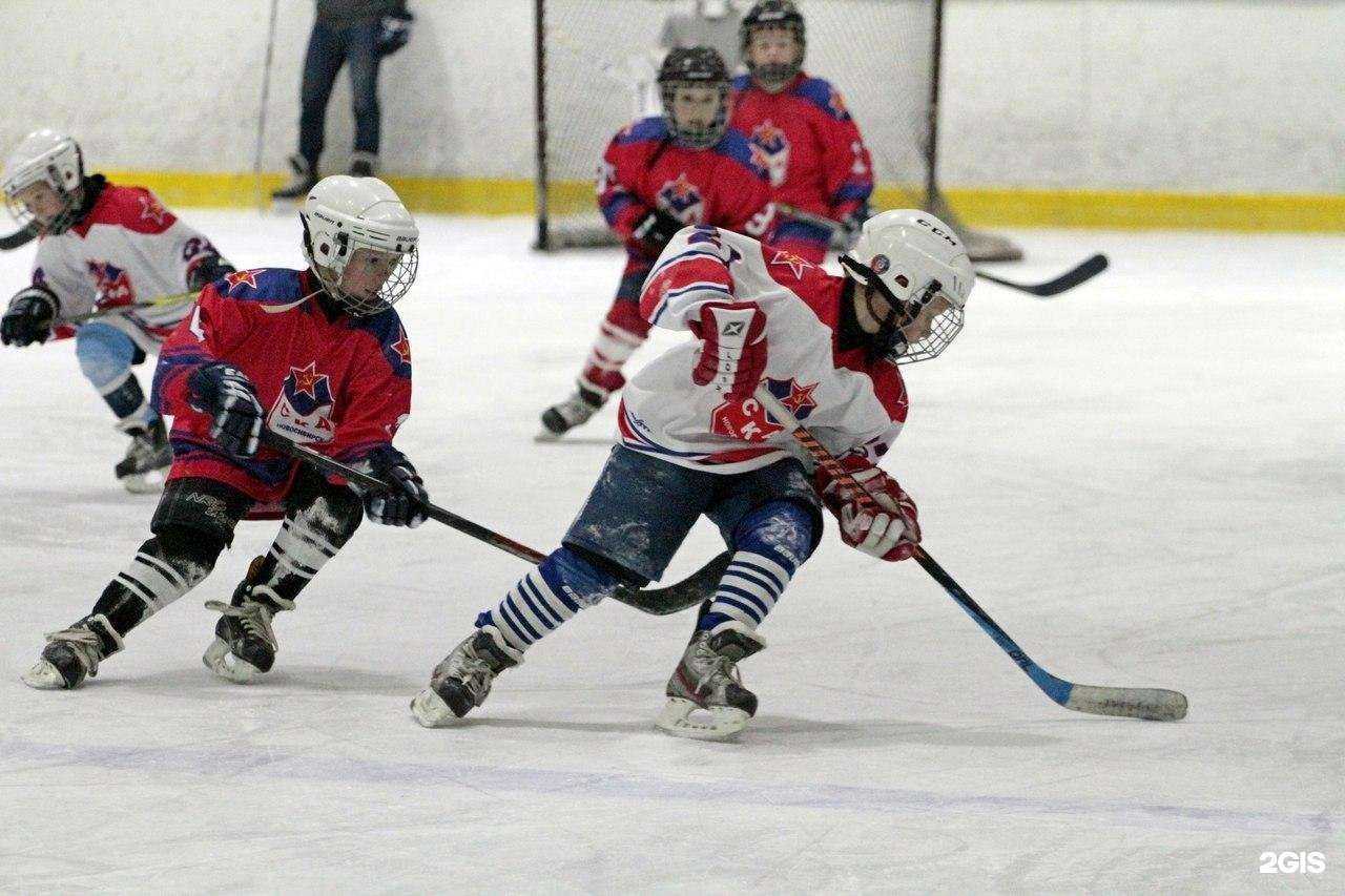 Отзывы на компанию Хоккейный спортивный клуб армии в Новосибирске c фото
