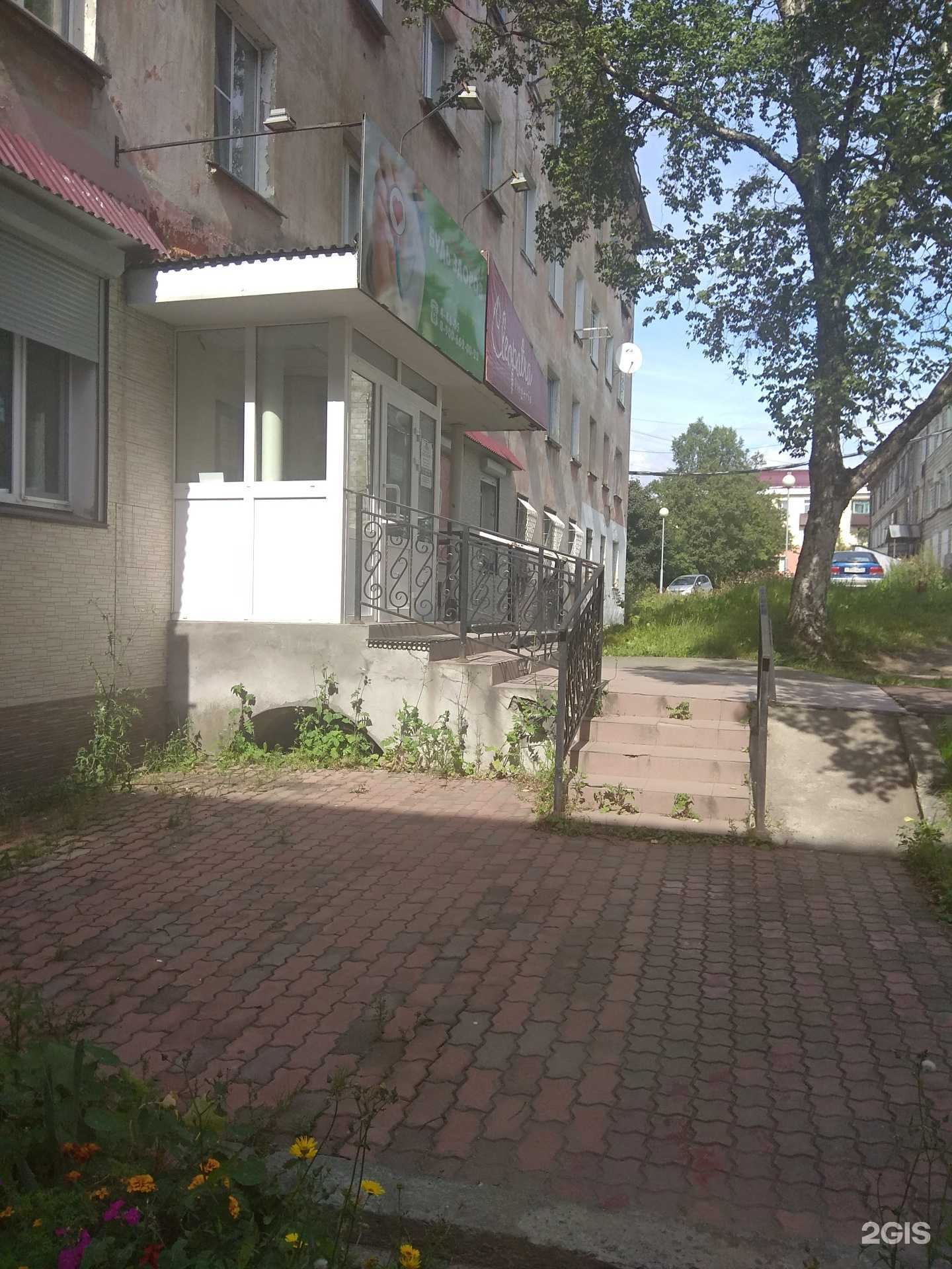 Отзывы на компанию ДНК24 в Корсакове c фото