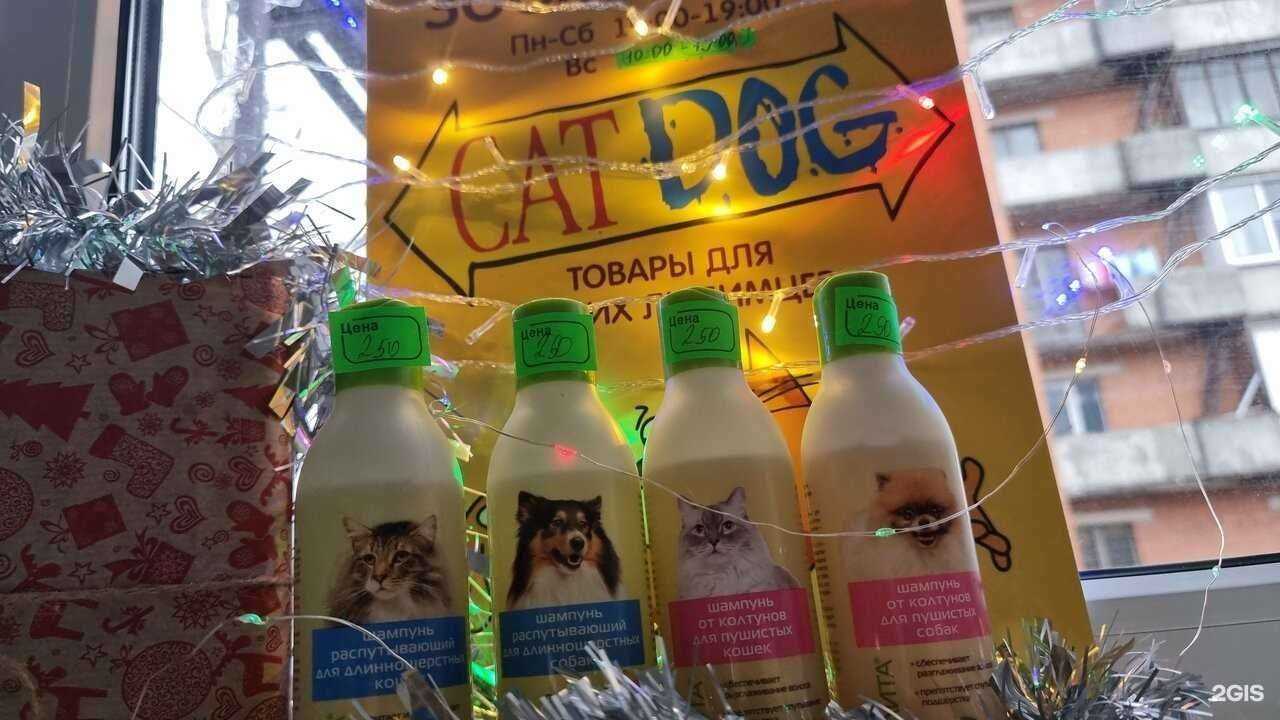 Отзывы на компанию Catdog в Пскове c фото