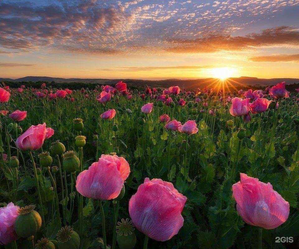 Отзывы на компанию Поток в Рязани c фото