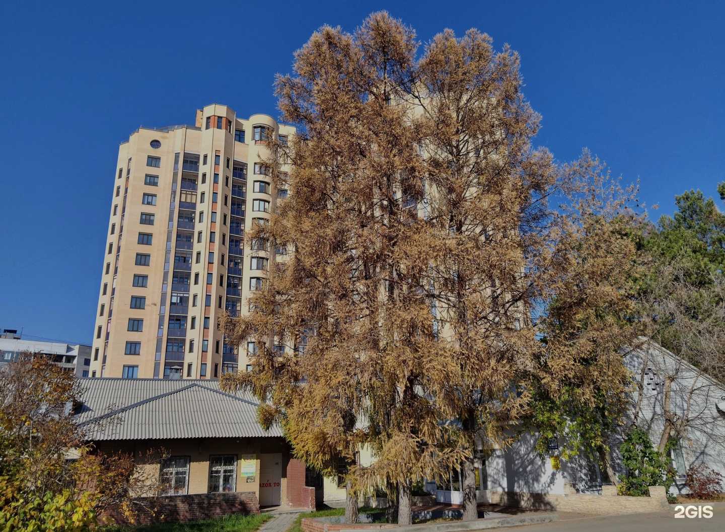 Отзывы на компанию Азорто в Новосибирске c фото - фотография 2 из 2