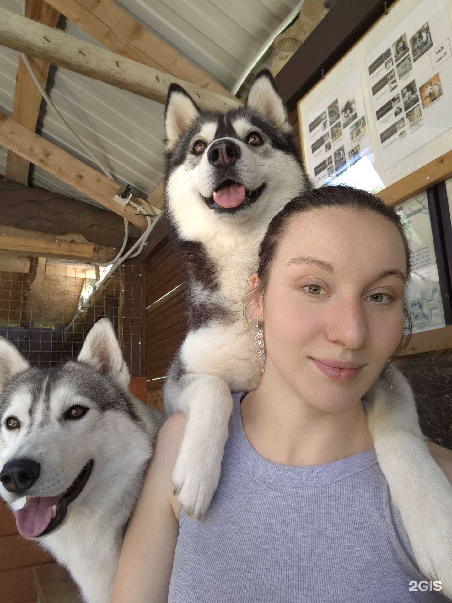 Отзывы на компанию Хаски хутор в Сочи c фото