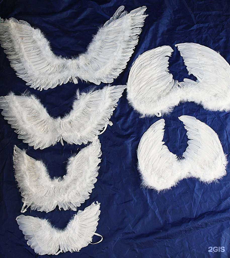 Отзывы на компанию Компания по изготовлению карнавальных крыльев и париков в г. Новосибирск c фото