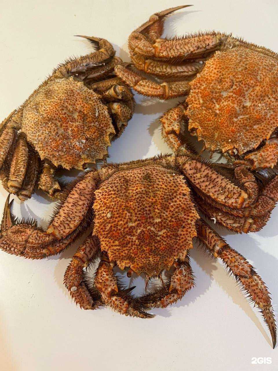 Отзывы на компанию Морские истории в г. Владивосток c фото