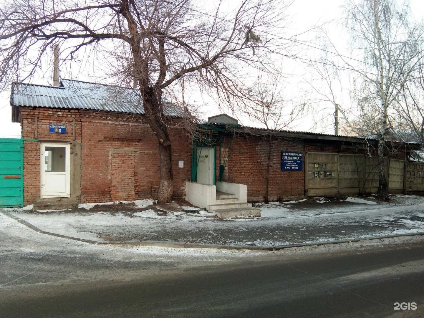 Отзывы на компанию Красноярский отдел ветеринарии в Красноярске c фото - фотография 2 из 2