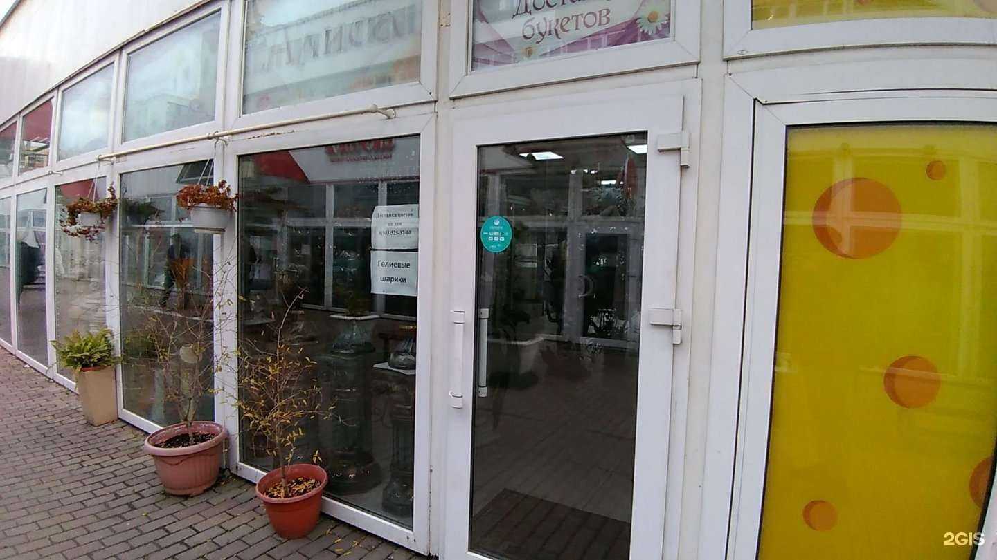 Отзывы на компанию Алиса в г. Ногинск c фото