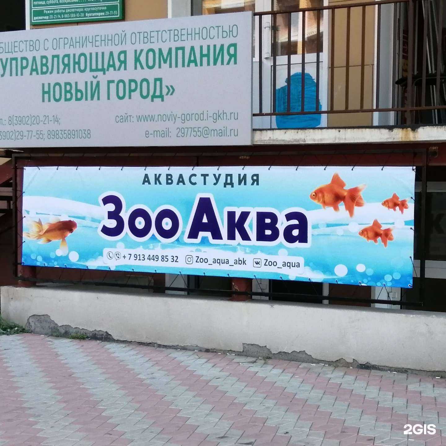 Отзывы на компанию Зооаква в Абакане c фото